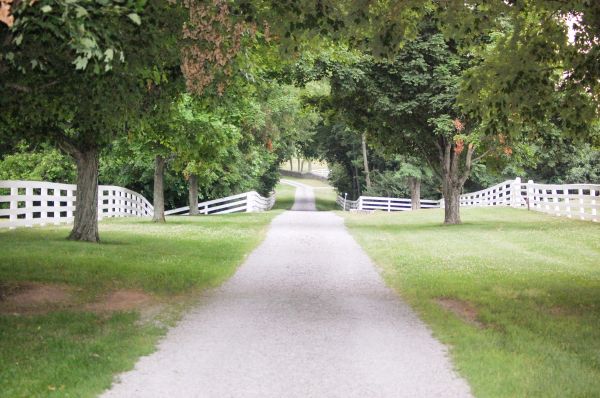 Gravel Driveway Construction in Puyallup