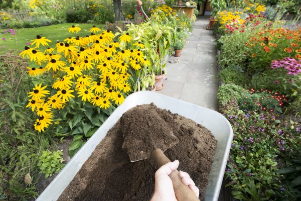 Cost of Topsoil Installation in Puyallup