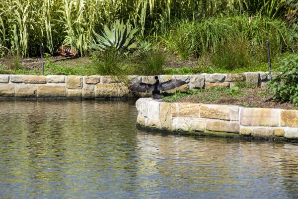 Pond Erosion Prevention