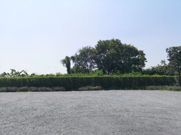Gravel Parking Lot Grading in Puyallup