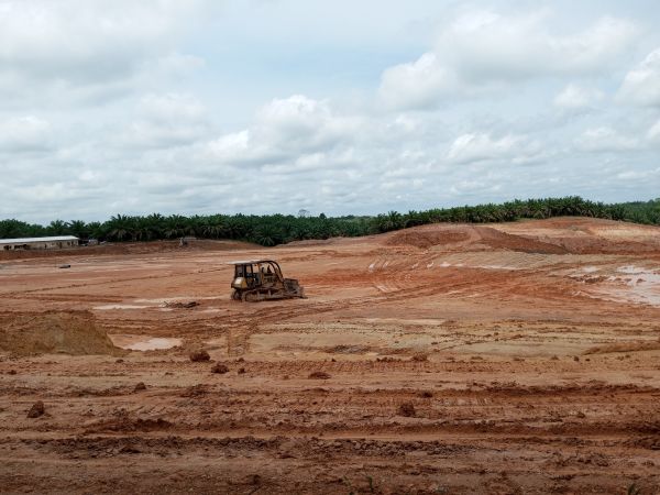 Land Preparation Service in Puyallup