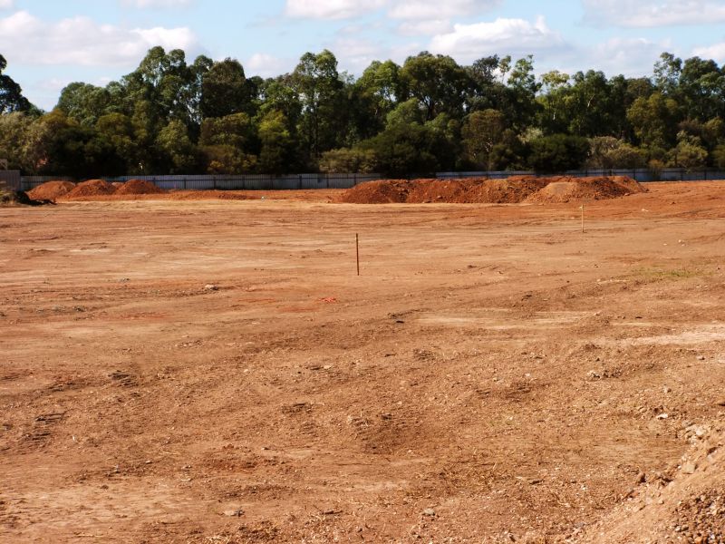 Dirt Leveling Service detail